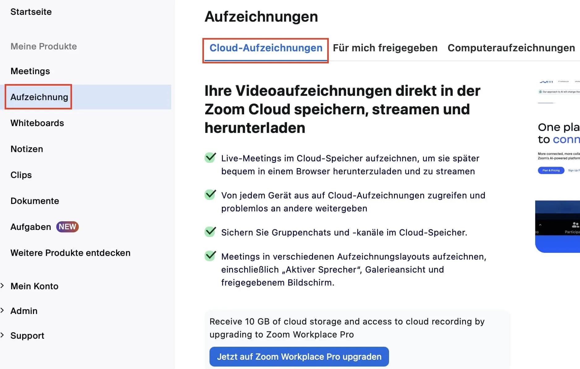 Menü „Aufzeichnung“ in den Zoom-Einstellungen Bild: Menü „Aufzeichnung“ in den Zoom-Einstellungen
