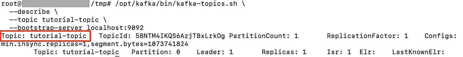 Kafka-Topic Infos anzeigen Bild: Kafka-Topic Infos anzeigen