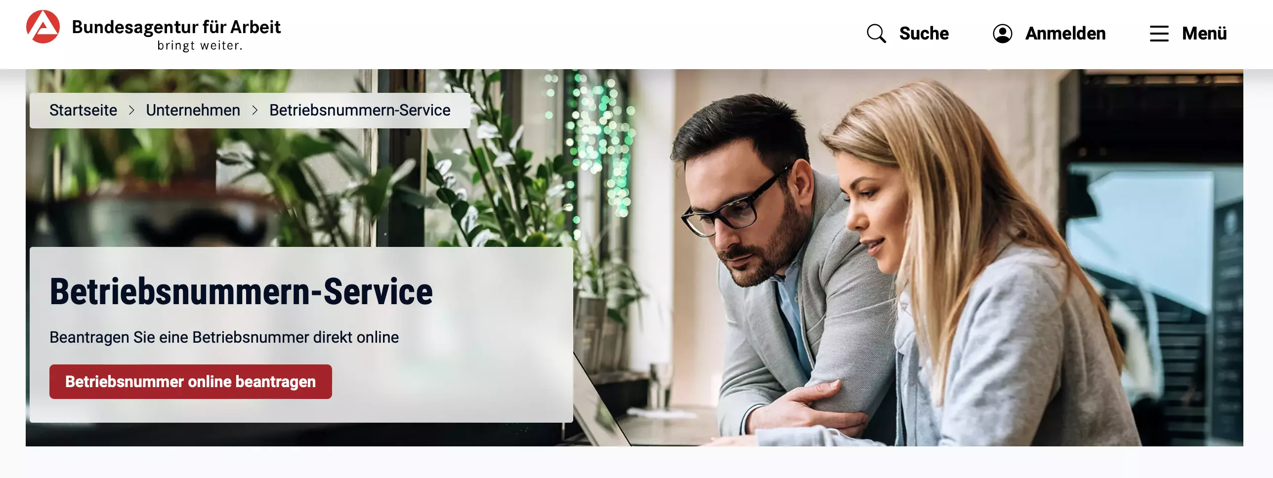 Bild: Screenshot des Betriebsnummern-Service der Bundeagentur f&uuml;r Arbeit