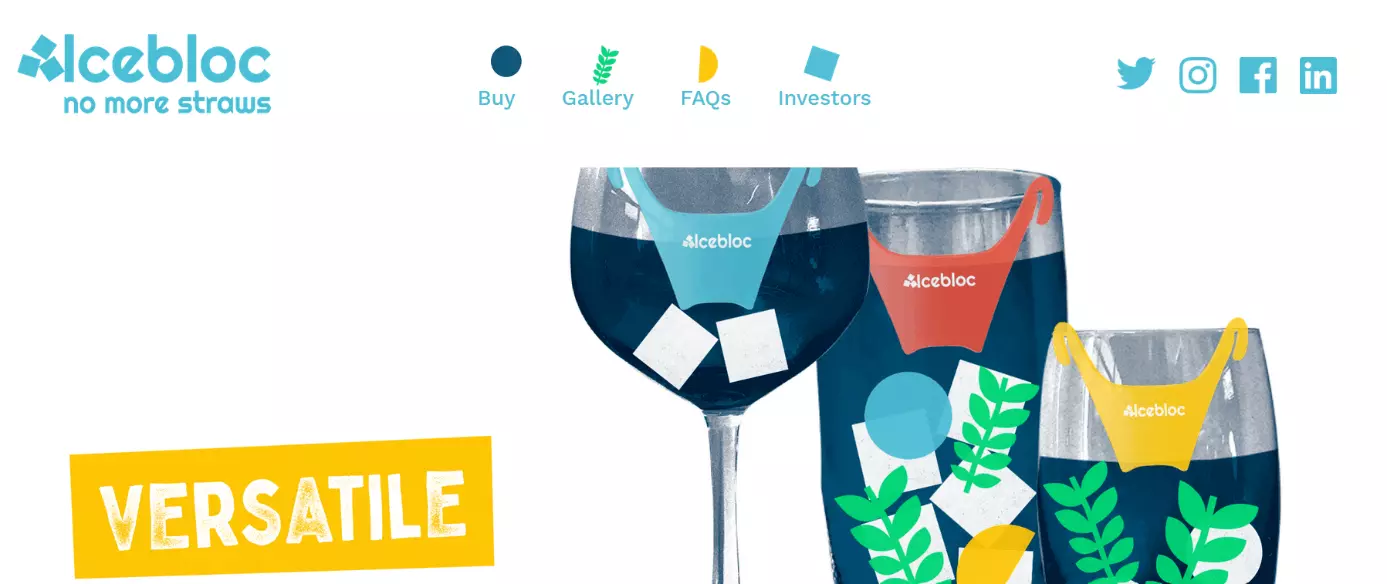 Bild: Produkt-Landingpage von Icebloc