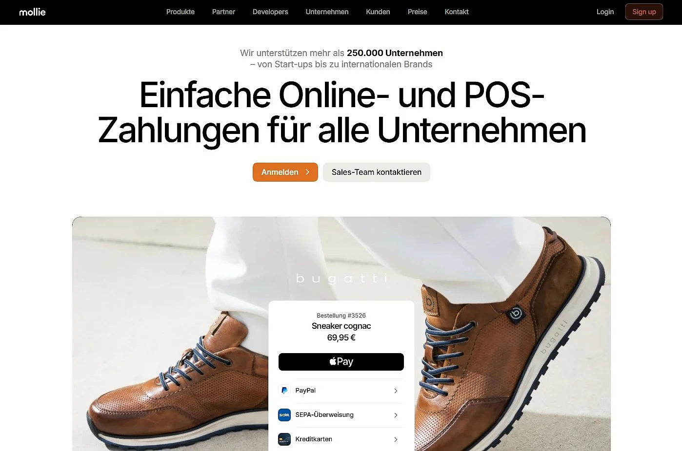 Startseite von Mollie Bild: Startseite von Mollie