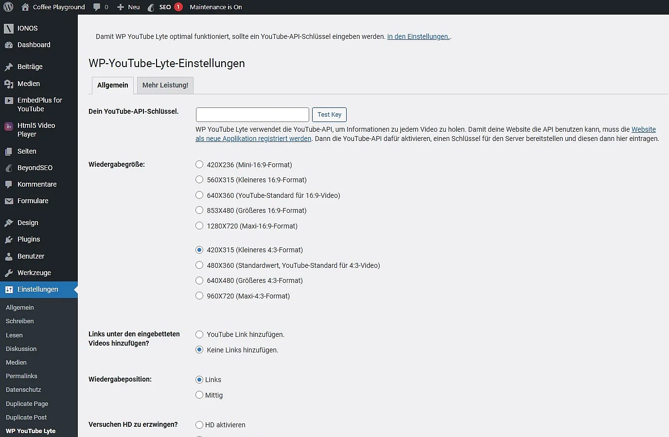 Bild: WP YouTube Lyte im WordPress-Editor