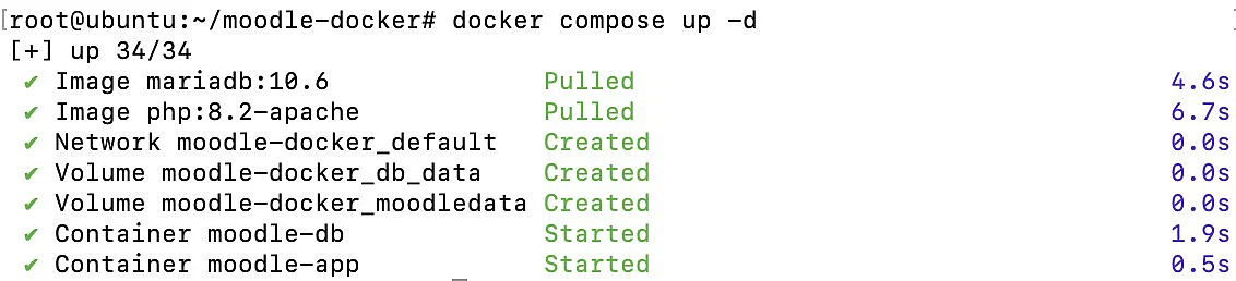Docker Compose Terminalausgabe Bild: Docker Compose Terminalausgabe