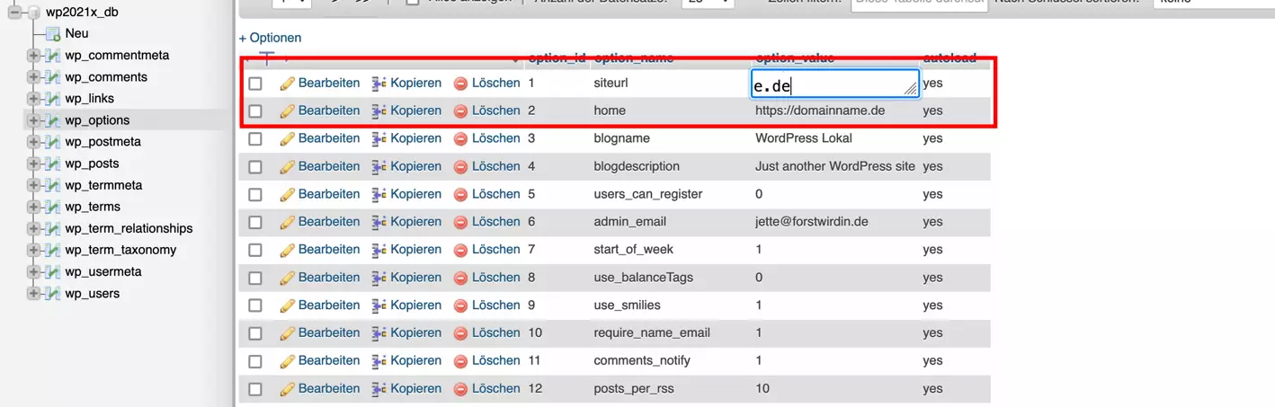 wp_options in der WordPress-Datenbank