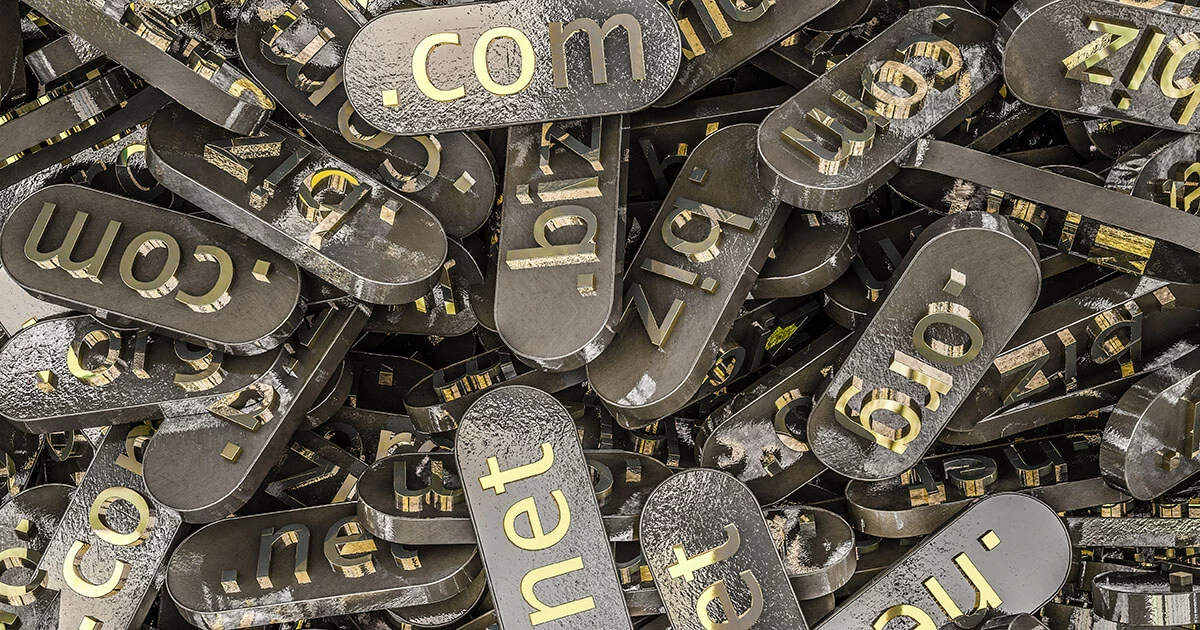 Bild: Welche Domaintypen gibt es?