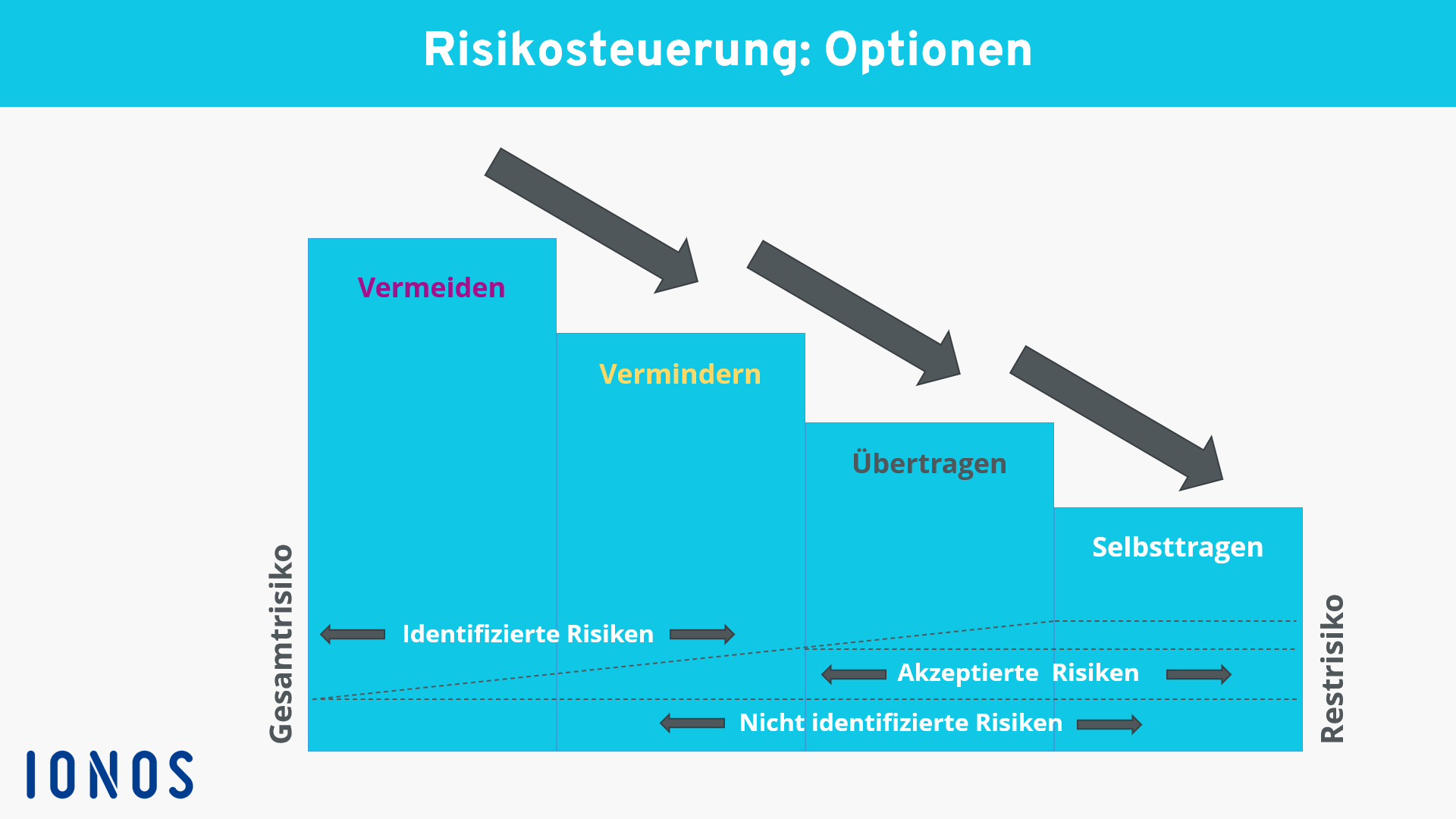 Schaubild zu den Optionen der Risikosteuerung